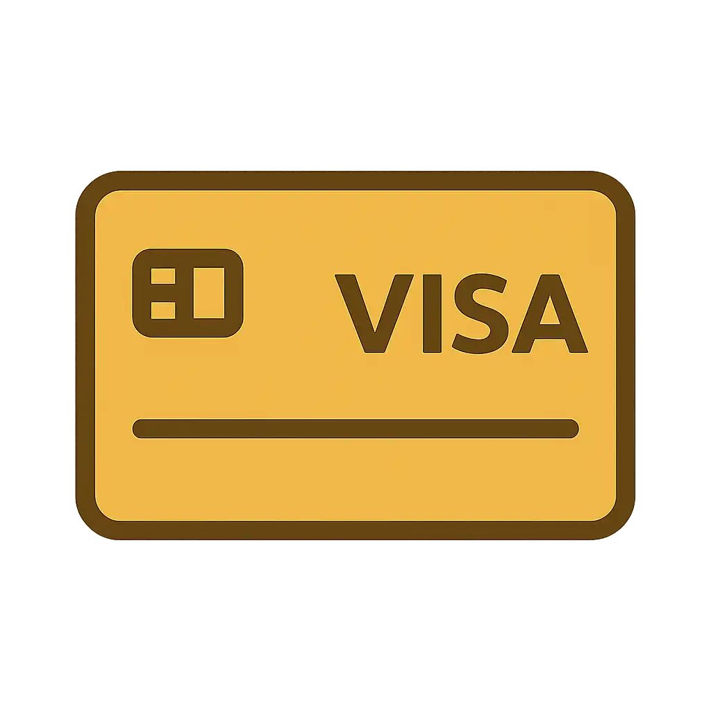 Visa icon